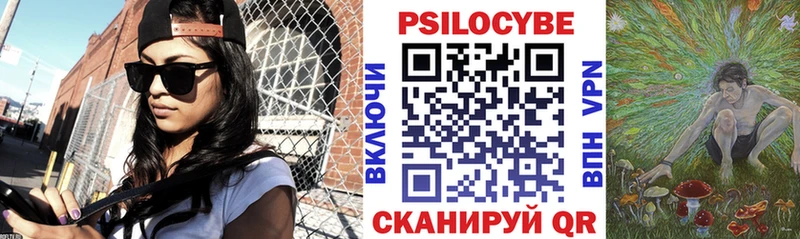 Псилоцибиновые грибы Psilocybine cubensis  Барыш 