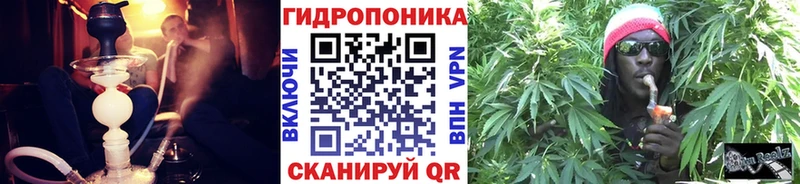 Бошки Шишки SATIVA & INDICA Барыш